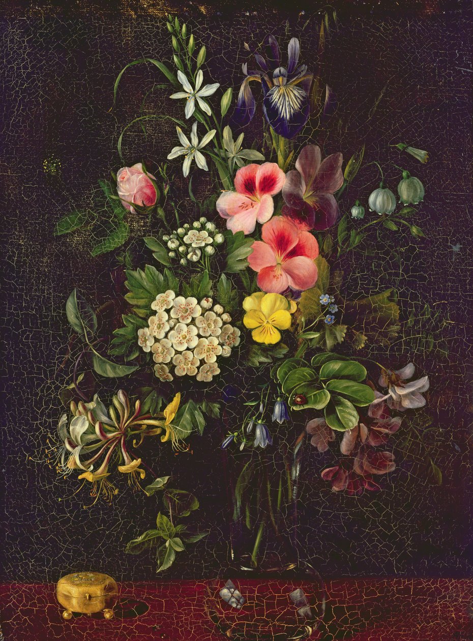 花瓶，1775年 作者 A.维德本特