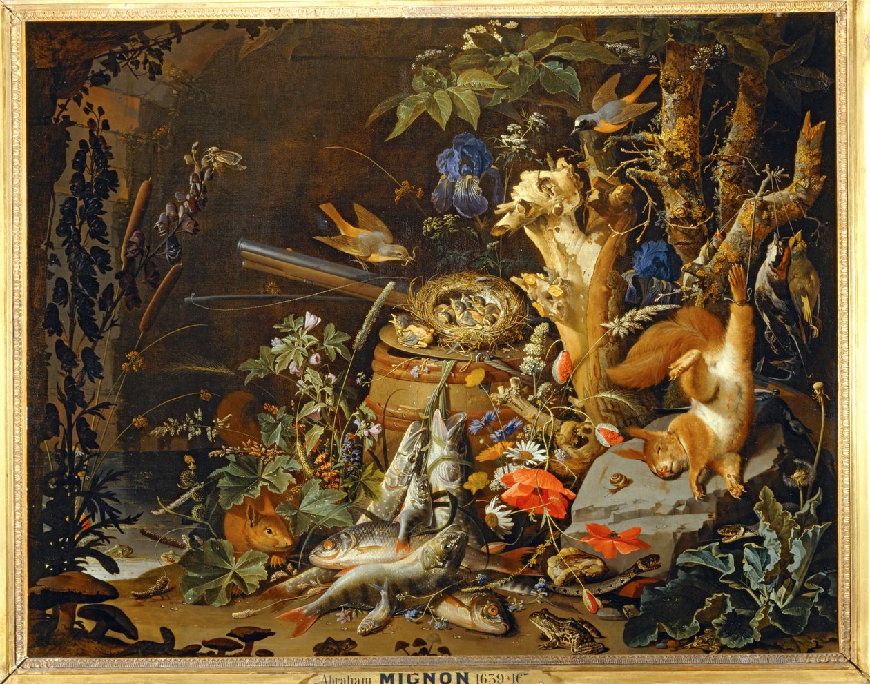 雀巢 ... 作者 亚伯拉罕·米尼翁（Abraham Mignon）