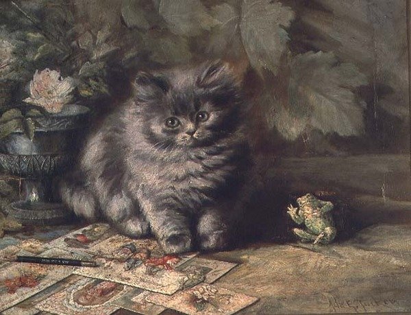 一只小猫的画像 作者 艾达·伊丽莎·塔克（Ada Eliza Tucker）