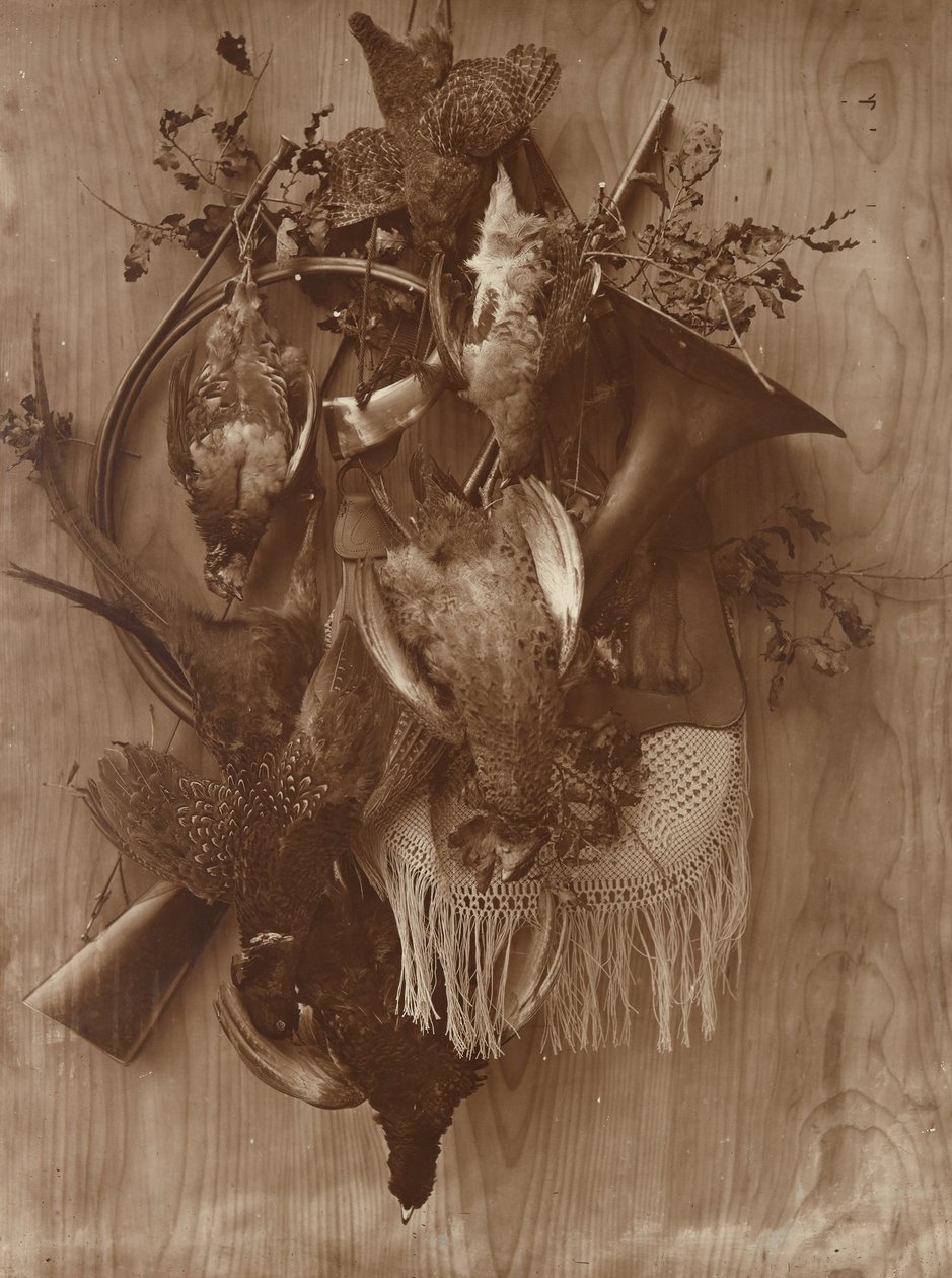 野鸡和松鸡，约1865年。 作者 阿道夫·布劳恩（Adolphe Braun）