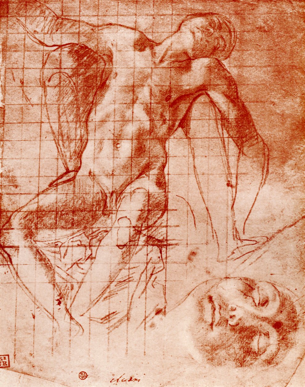 研究，1913年。 作者 Agnolo Bronzino