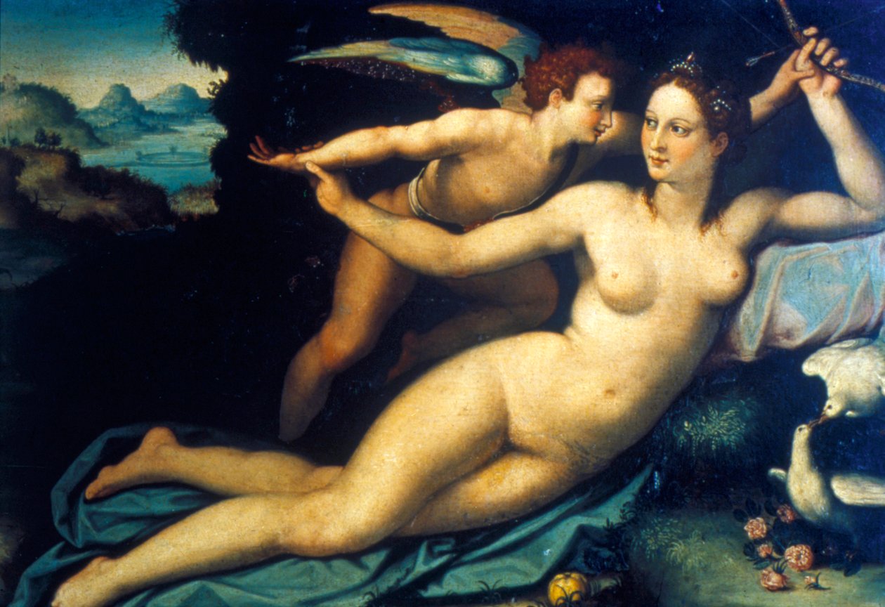 金星和丘比特，十六世纪中叶 作者 Agnolo Bronzino