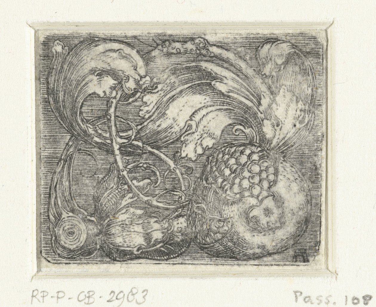 石榴和多叶藤蔓 作者 阿尔布雷希特·阿尔特多夫（Albrecht Altdorfer）