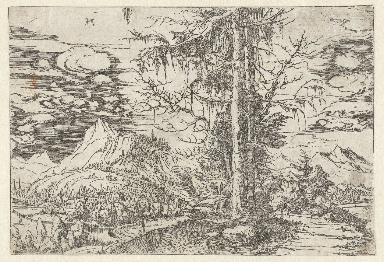双云杉景观 作者 阿尔布雷希特·阿尔特多夫（Albrecht Altdorfer）