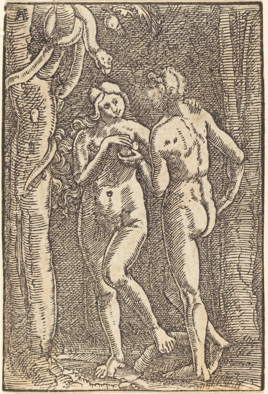 人类的堕落 作者 阿尔布雷希特·阿尔特多夫（Albrecht Altdorfer）