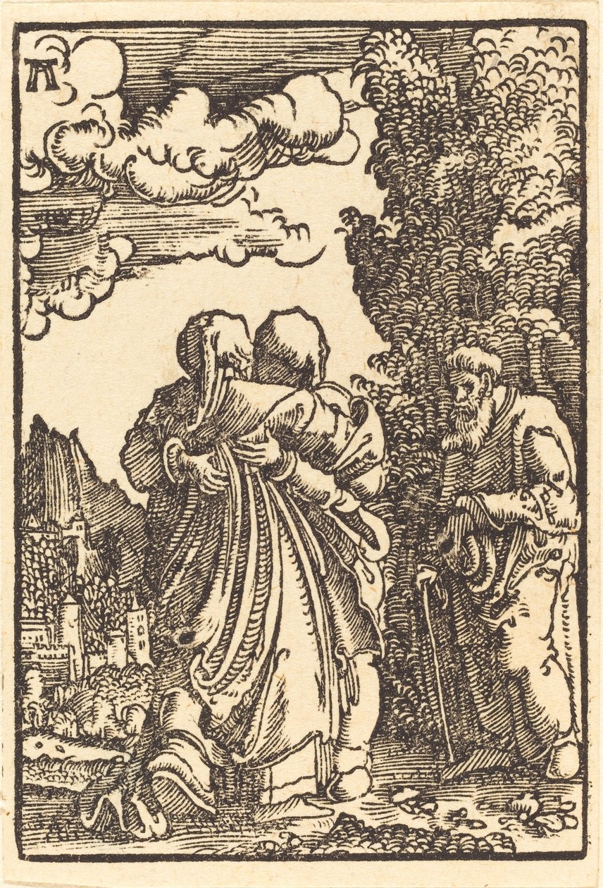 探视 作者 阿尔布雷希特·阿尔特多夫（Albrecht Altdorfer）