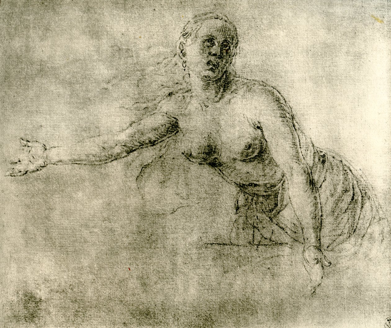 一项研究，1913年 作者 阿尔布雷希特丢勒