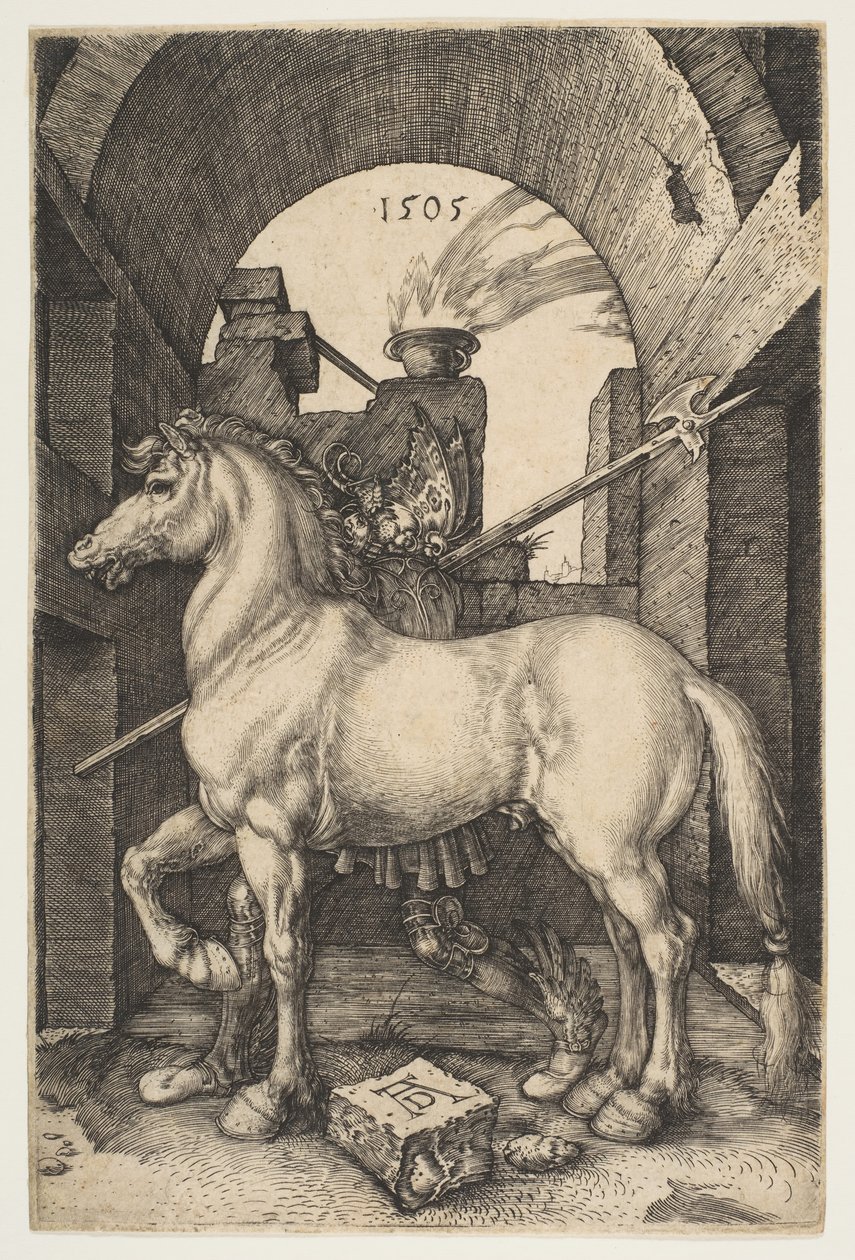 《小马》，1505年。 作者 阿尔布雷希特丢勒