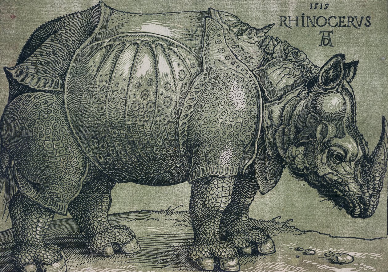 犀牛，1515年 作者 阿尔布雷希特丢勒