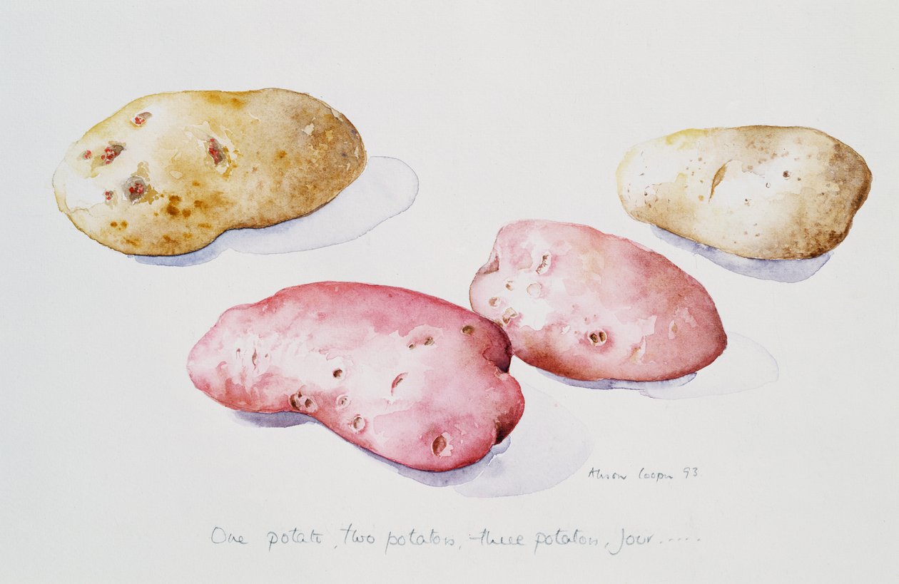 马铃薯研究，1993年 作者 艾莉森·库珀