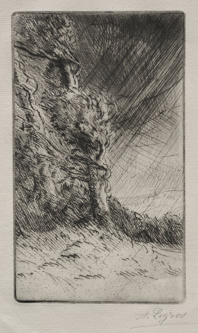 一阵风 作者 阿方斯·莱格罗斯（Alphonse Legros）