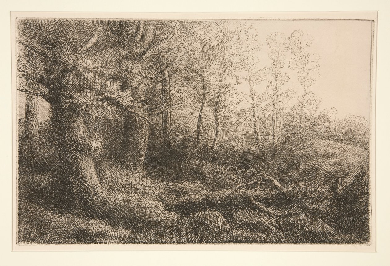 林地研究 作者 阿方斯·莱格罗斯（Alphonse Legros）