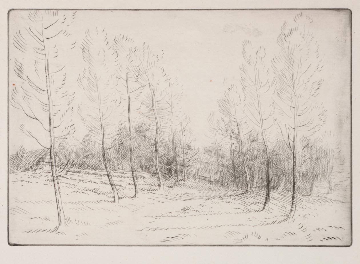 杨树大道 作者 阿方斯·莱格罗斯（Alphonse Legros）