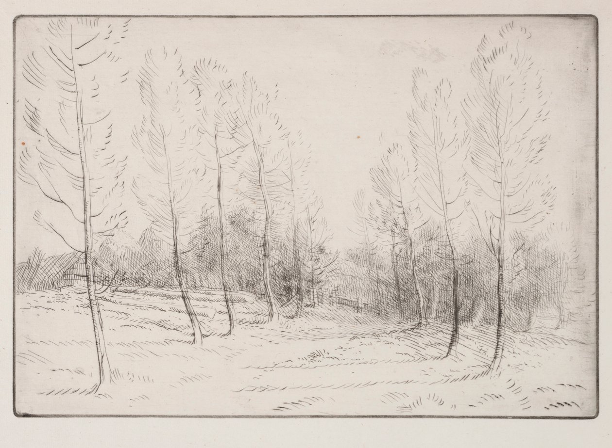 杨树大道。 作者 阿方斯·莱格罗斯（Alphonse Legros）
