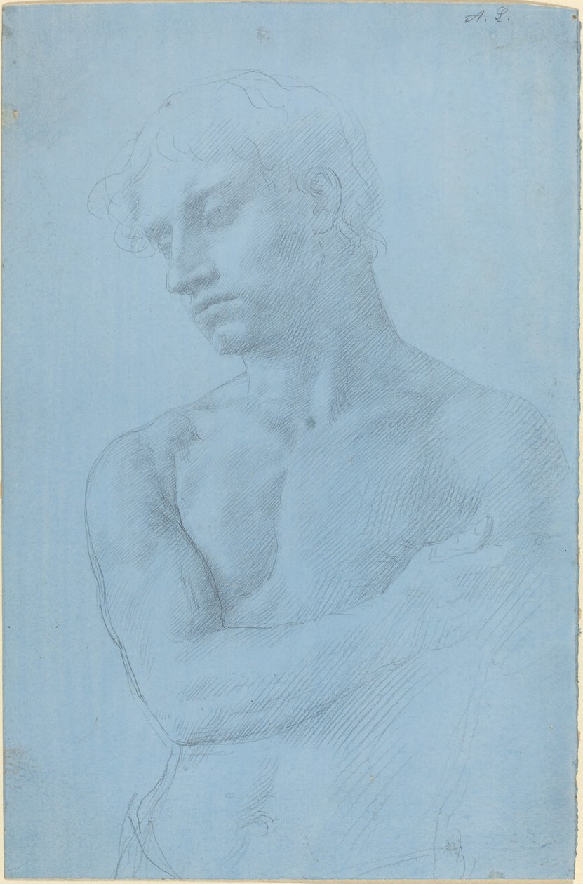 裸体男子半身像 作者 阿方斯·莱格罗斯（Alphonse Legros）