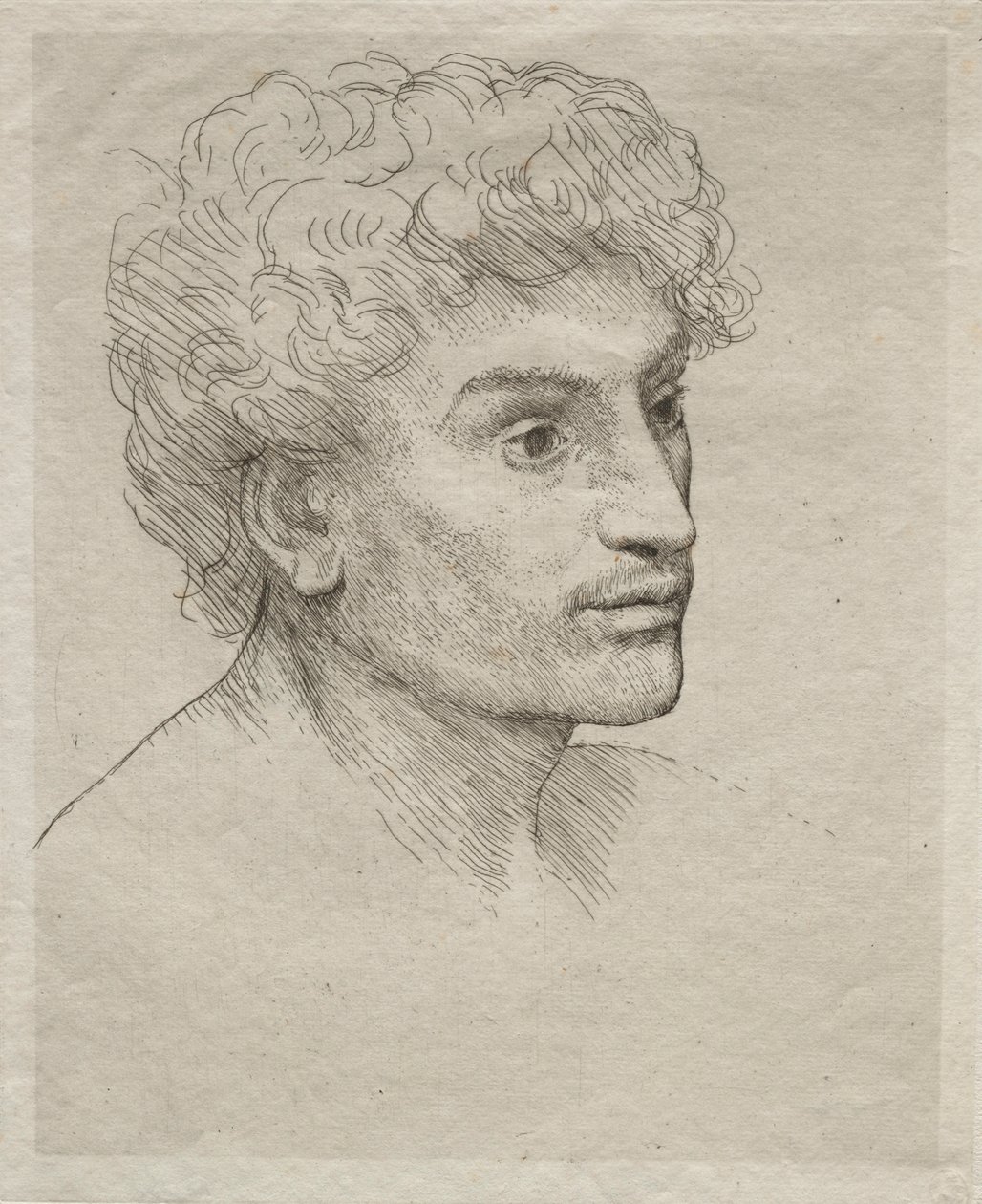 一个年轻人的头。 作者 阿方斯·莱格罗斯（Alphonse Legros）