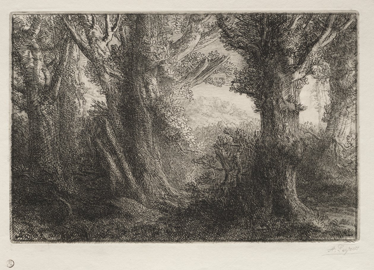 康特维尔森林 作者 阿方斯·莱格罗斯（Alphonse Legros）