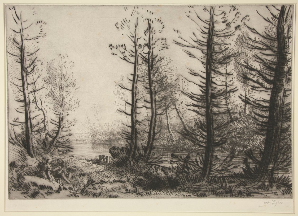 大运河 作者 阿方斯·莱格罗斯（Alphonse Legros）