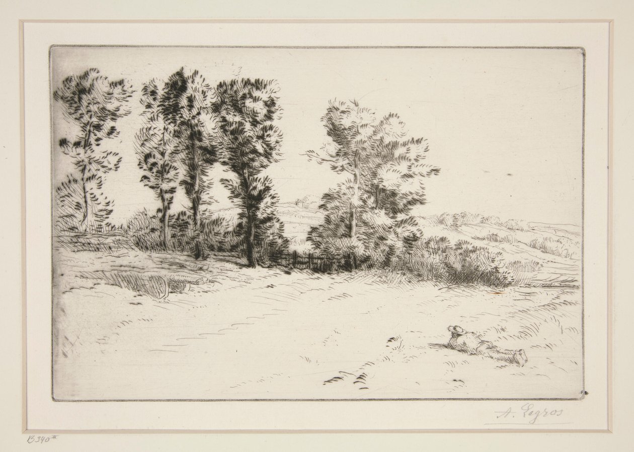 阳光下的草地 作者 阿方斯·莱格罗斯（Alphonse Legros）