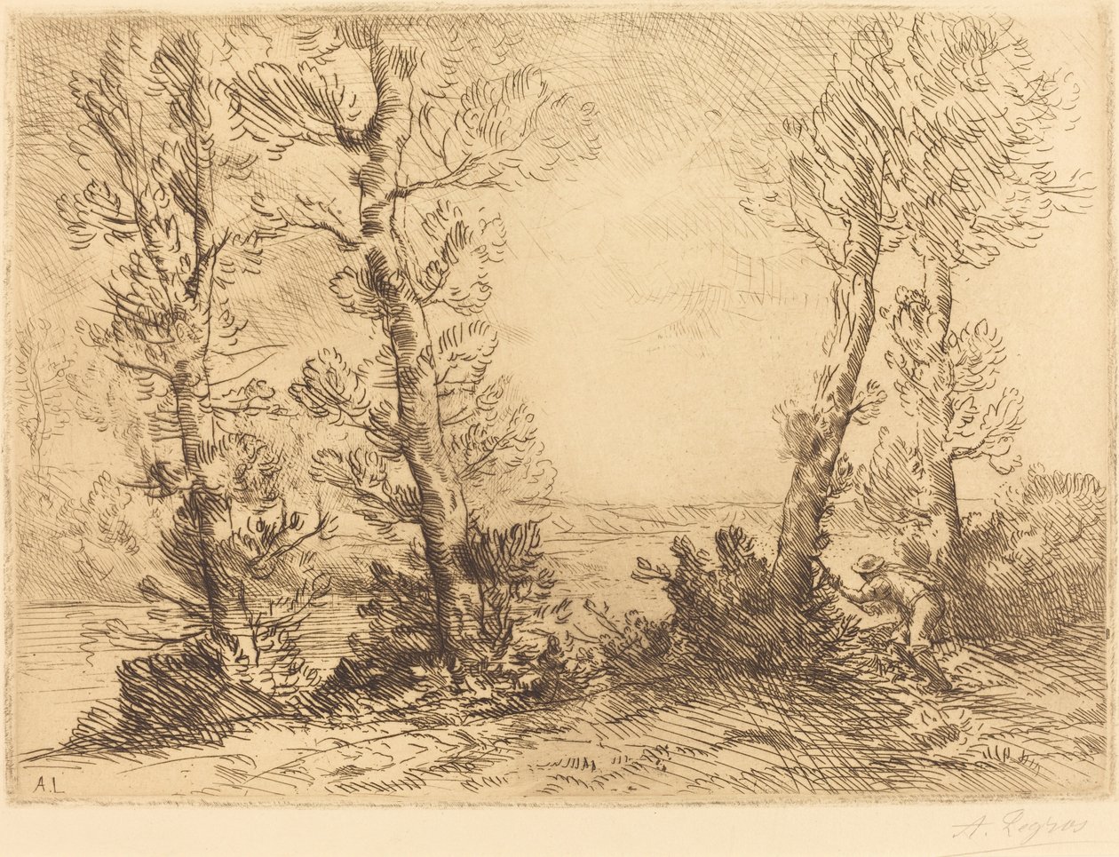 鲑鱼费希尔 作者 阿方斯·莱格罗斯（Alphonse Legros）