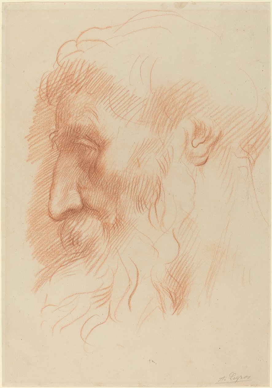 男子头部研究 [直页] 作者 阿方斯·莱格罗斯（Alphonse Legros）