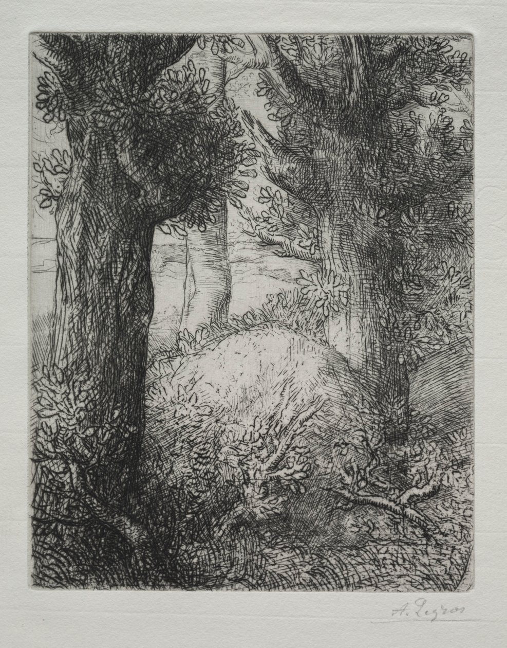 高卢胎瘤。 作者 阿方斯·莱格罗斯（Alphonse Legros）