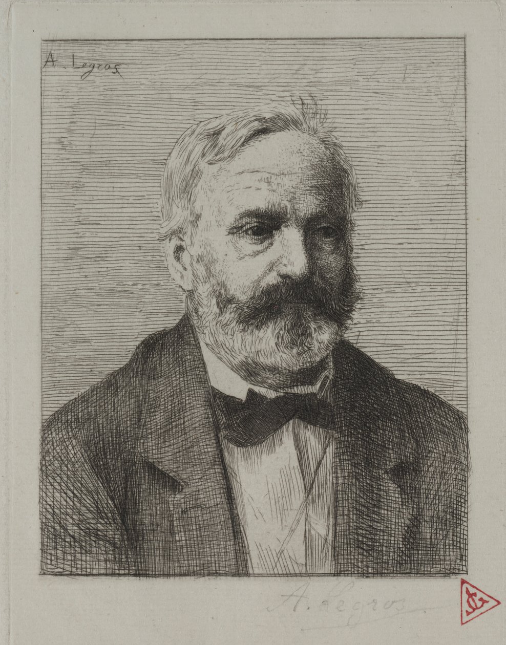 维克多-雨果
 作者 阿方斯·莱格罗斯（Alphonse Legros）