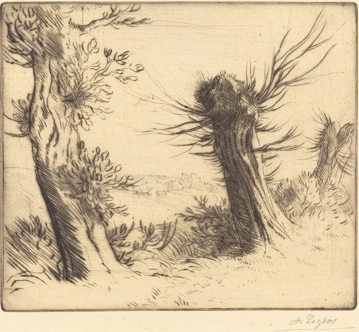 柳树 作者 阿方斯·莱格罗斯（Alphonse Legros）