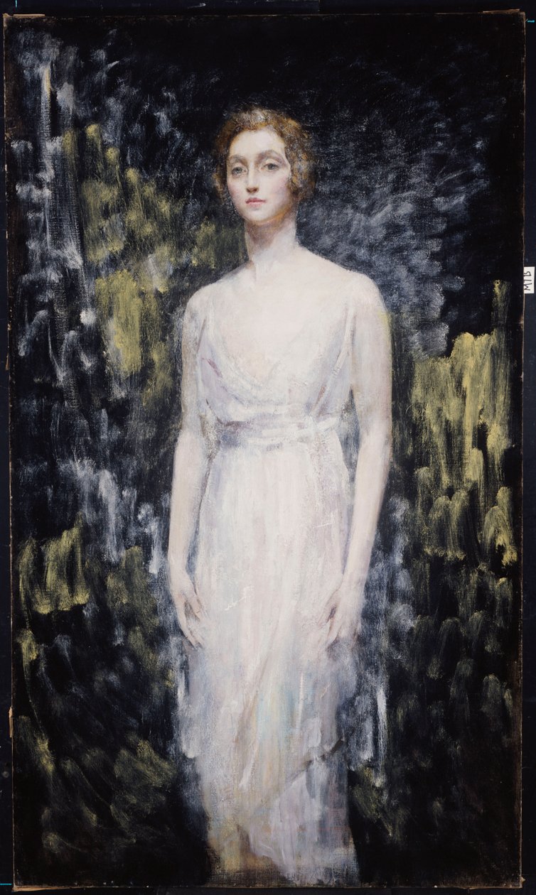 一位女士的画像 作者 安布罗斯·麦克沃伊