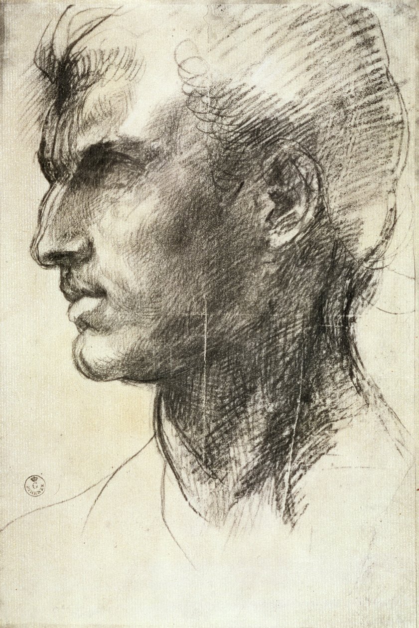 研究男性头部（木炭在纸上） 作者 安德里亚·德尔·萨托（Andrea del Sarto）