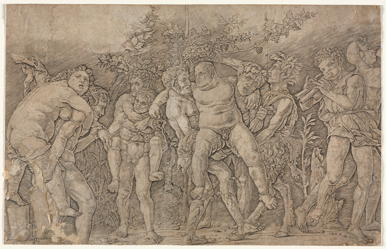 西兰努斯的酒神。 作者 安德里亚·曼特尼亚（Andrea Mantegna）