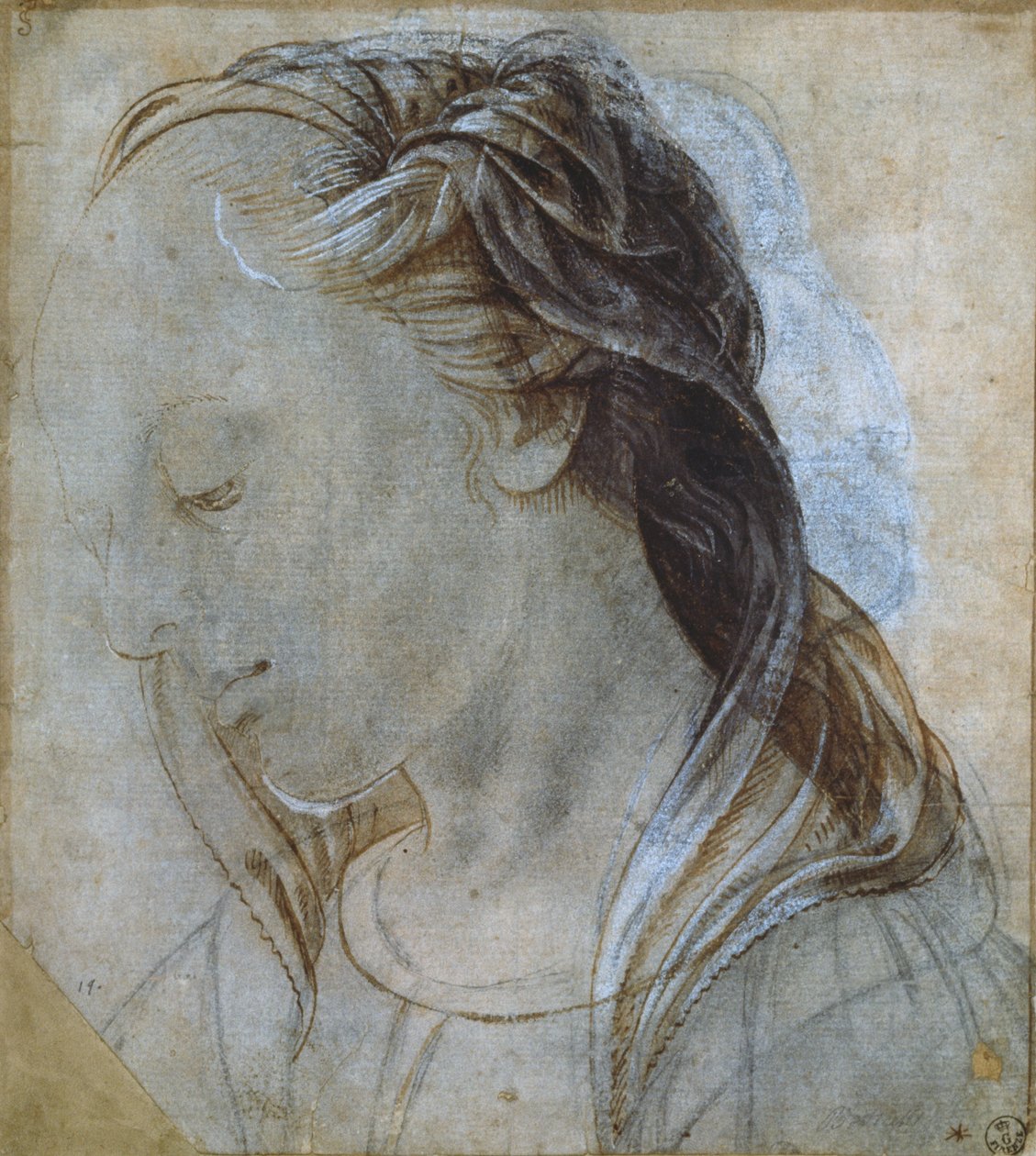 女头（绘图） 作者 安德里亚·韦罗基基奥（Andrea Verrocchio）