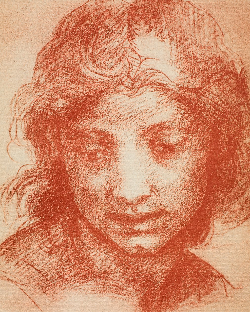 男孩头 作者 安德里亚·德尔·萨托（Andrea del Sarto）