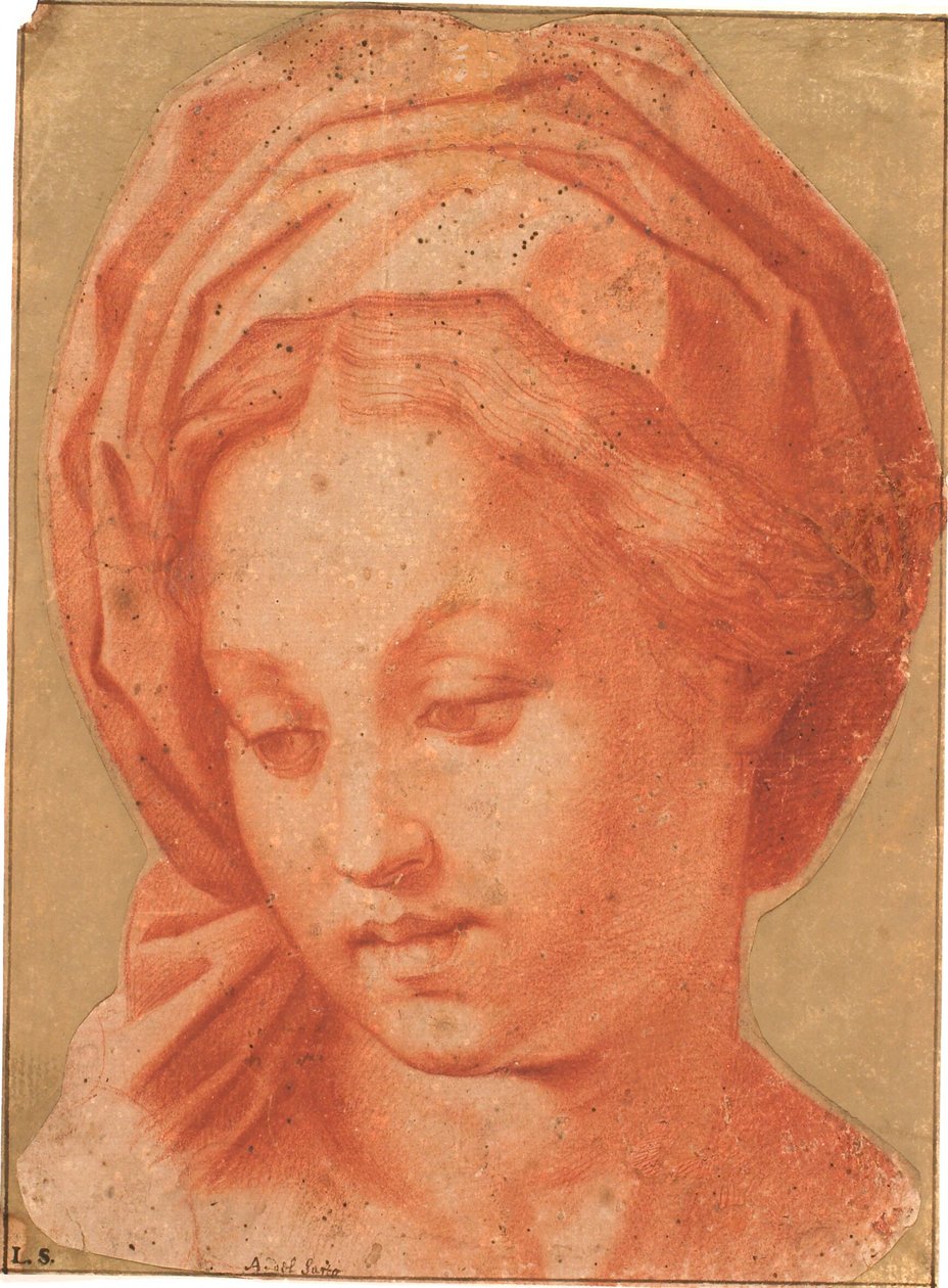 博尔热塞圣母院 作者 安德里亚·德尔·萨托（Andrea del Sarto）