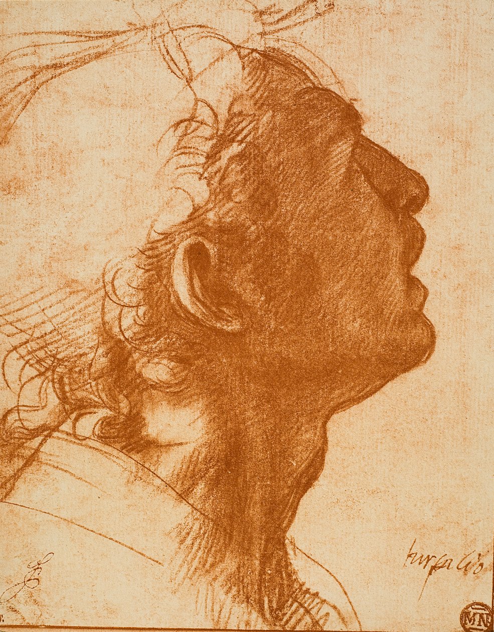 男头 作者 安德里亚·德尔·萨托（Andrea del Sarto）