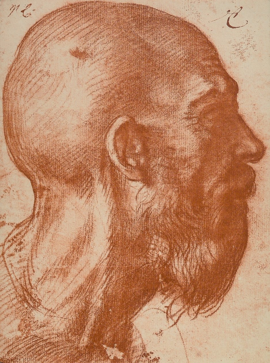 勒芒头部轮廓 作者 安德里亚·德尔·萨托（Andrea del Sarto）