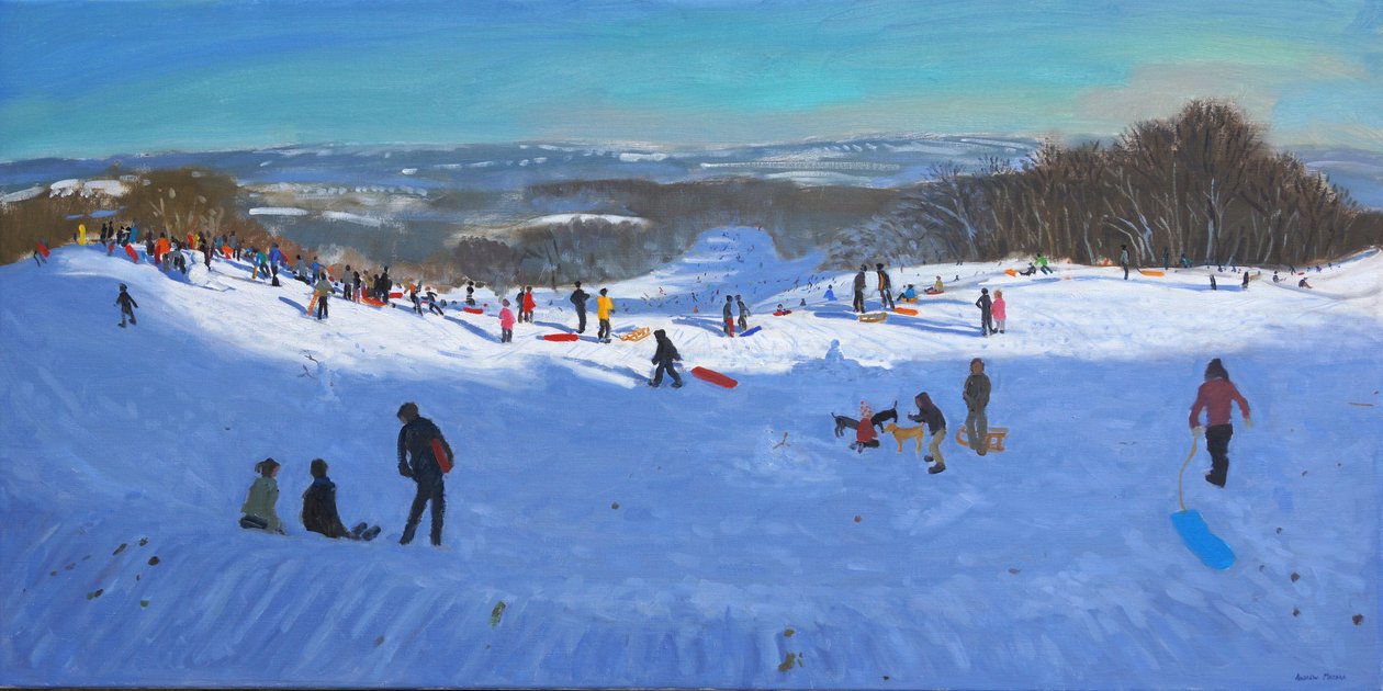 Allestree Park Derby，2013 作者 安德鲁·马卡拉（Andrew Macara）