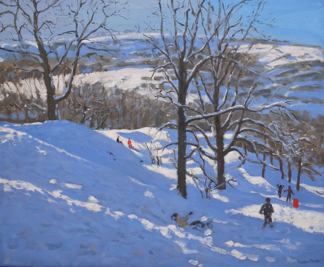 黑岩，德比郡，2009年 作者 安德鲁·马卡拉（Andrew Macara）