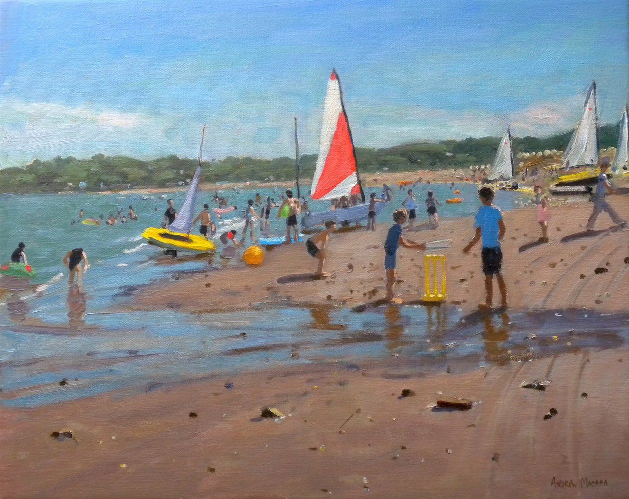 板球，2011年 作者 安德鲁·马卡拉（Andrew Macara）