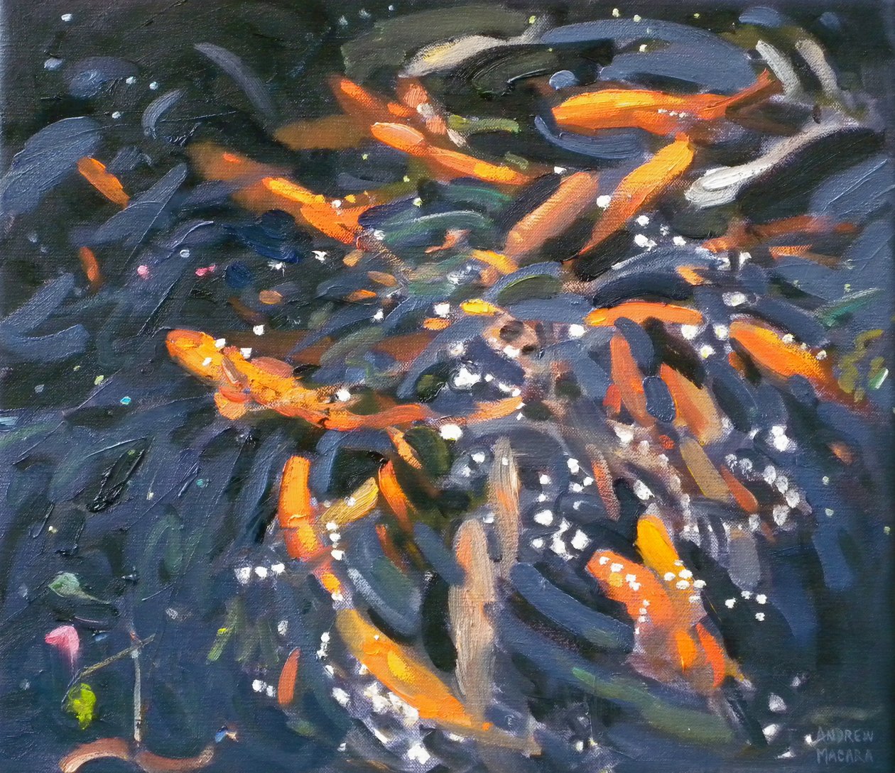 金鱼，2010 作者 安德鲁·马卡拉（Andrew Macara）