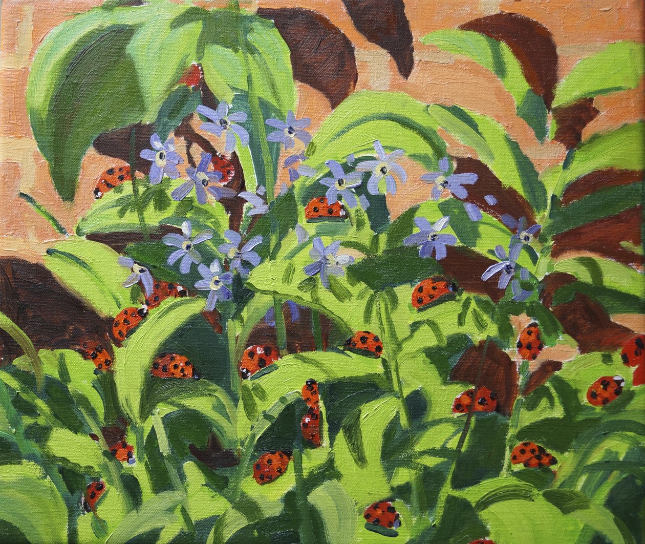 瓢虫，2013 作者 安德鲁·马卡拉（Andrew Macara）