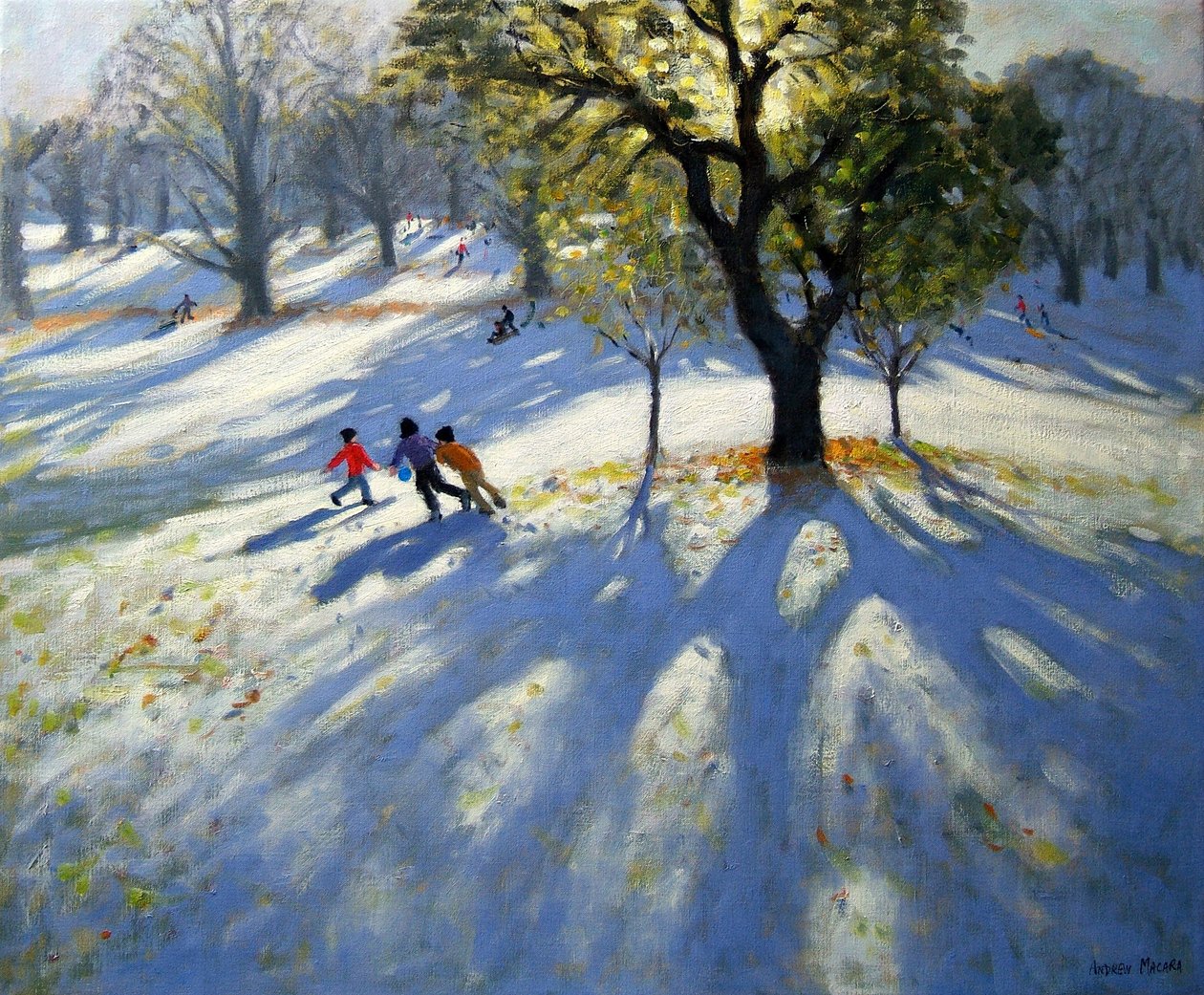 Markeaton公园，初雪 作者 安德鲁·马卡拉（Andrew Macara）