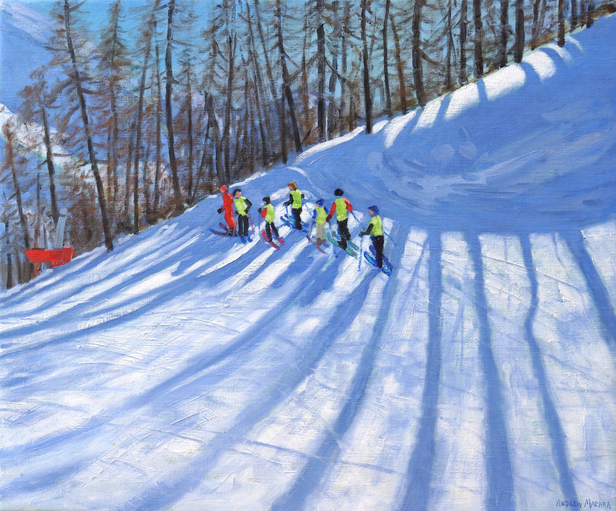 滑雪课，法国蒂涅， 作者 安德鲁·马卡拉（Andrew Macara）