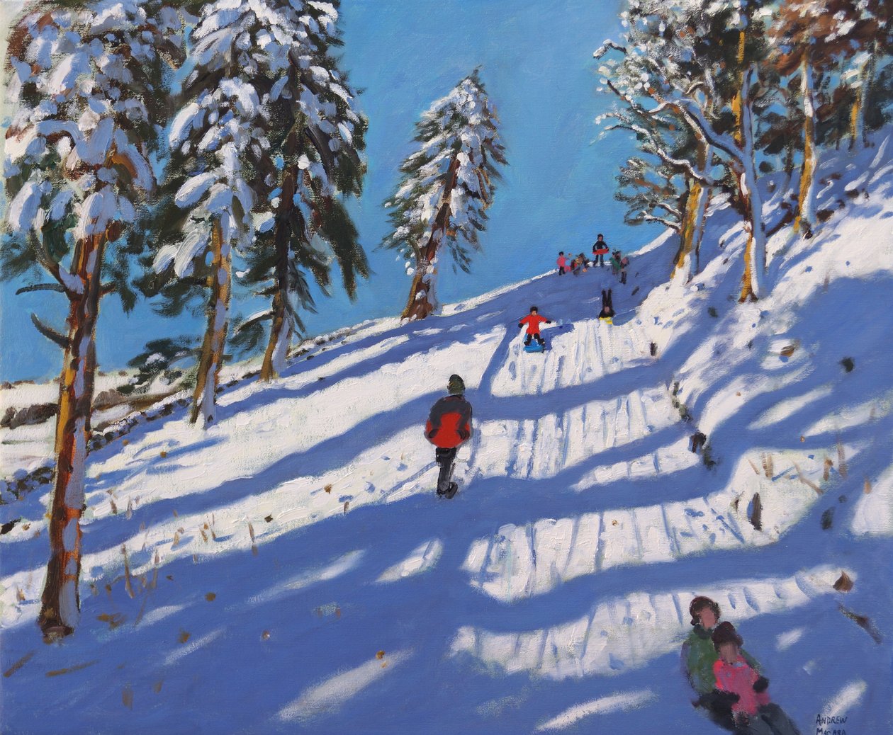 雪橇，山坡，Glossop，2015， 作者 安德鲁·马卡拉（Andrew Macara）