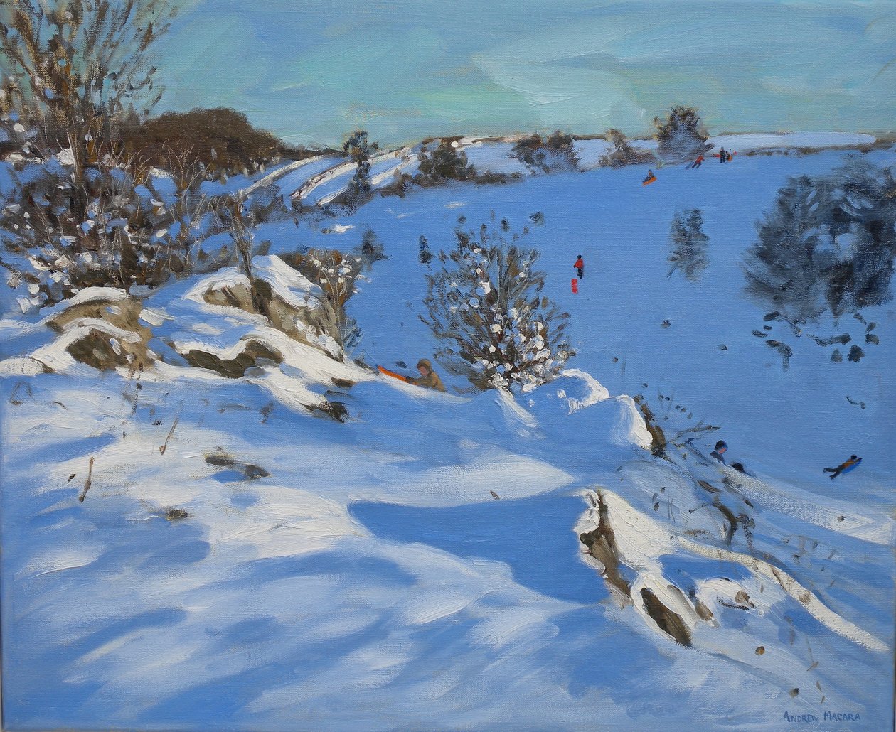 雪橇，德比郡，2011 年 作者 安德鲁·马卡拉（Andrew Macara）