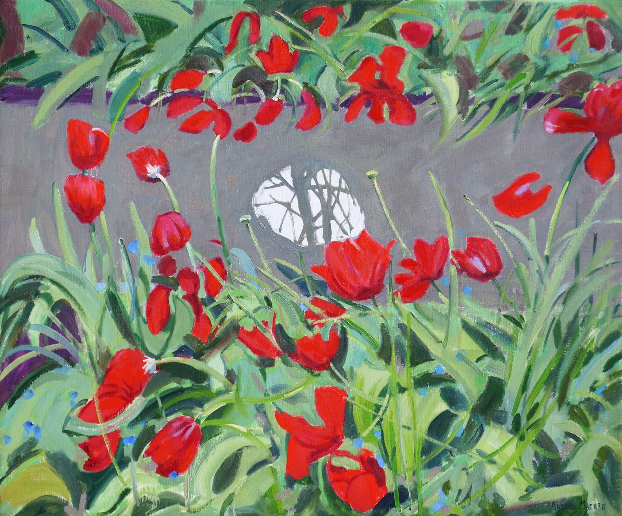 郁金香和反射，2017年， 作者 安德鲁·马卡拉（Andrew Macara）