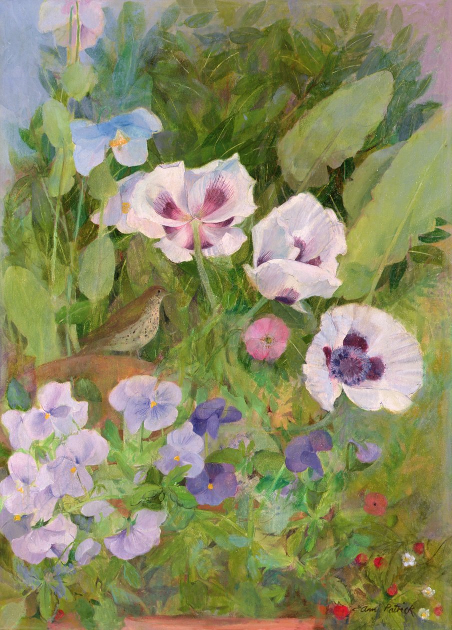 鸣鸫 作者 安·帕特里克