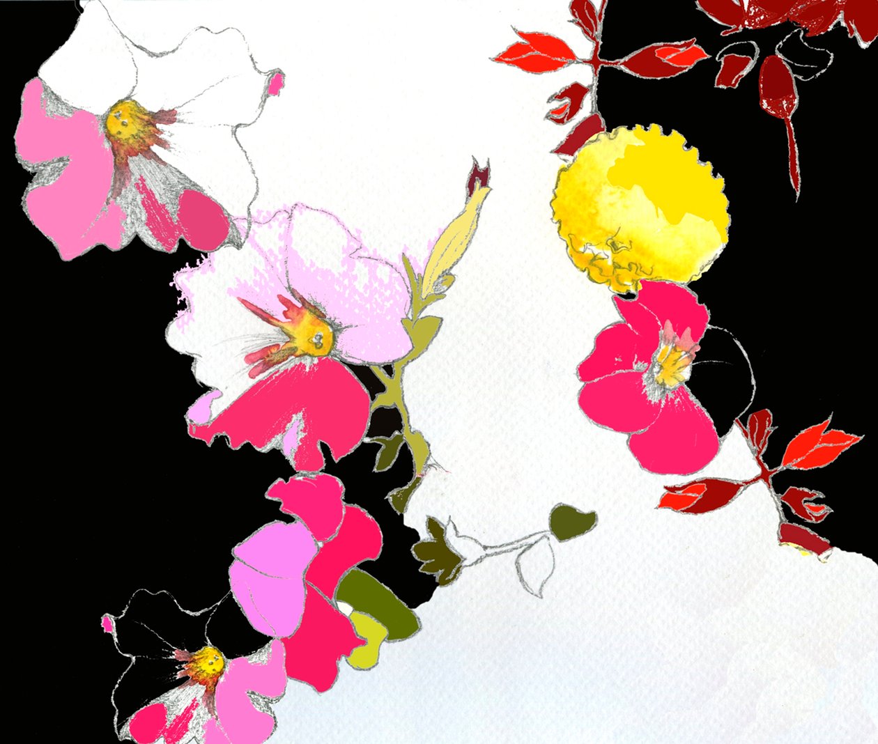 中国花园 作者 安娜·普拉茨（Anna Platts）