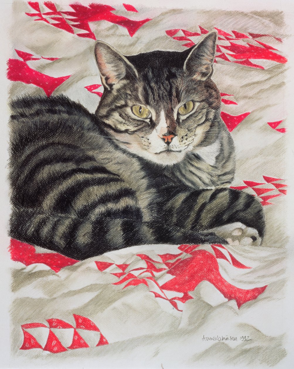 被子上的猫 作者 安妮·罗宾逊