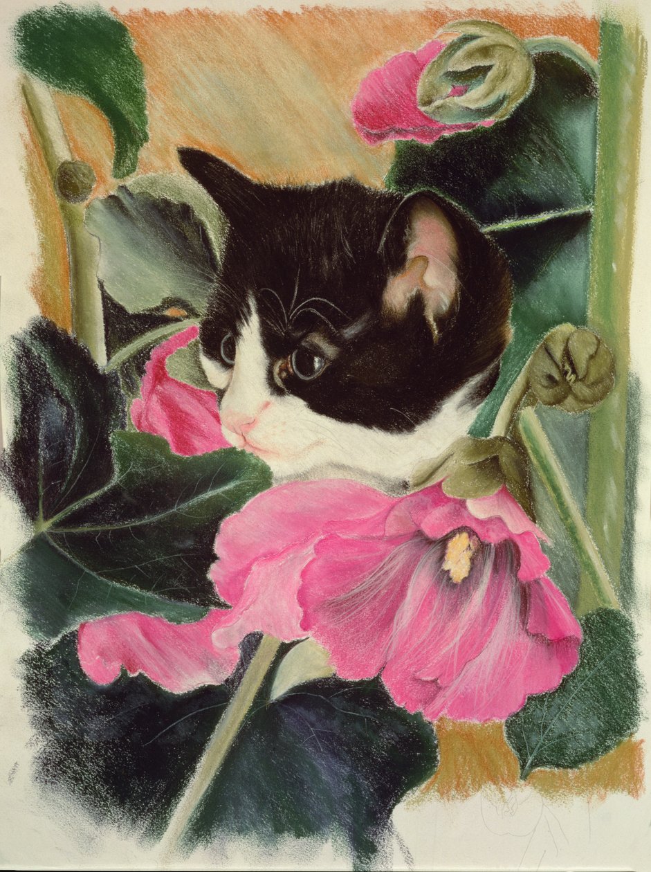 小猫和蜀葵 作者 安妮·罗宾逊